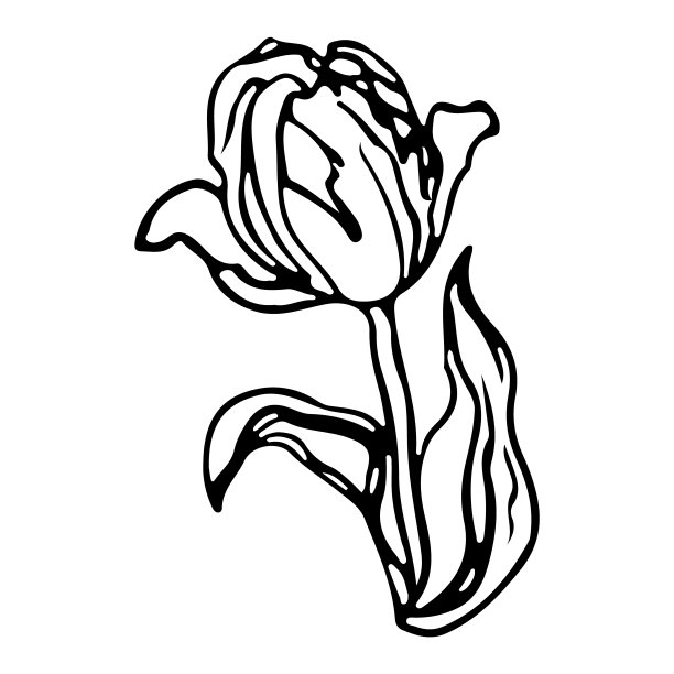 花单线画。花的简约风格。自然的象征。植物印。图片下载