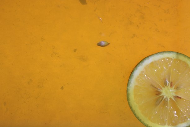 新鲜的绿橙片在橙汁图片下载