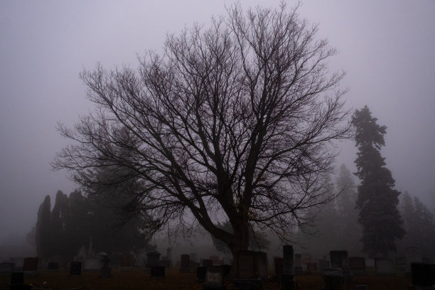 万圣节雾气诡异诡异的墓地墓地图片下载