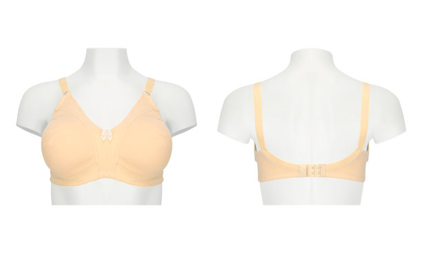 女士文胸正反面图图片下载