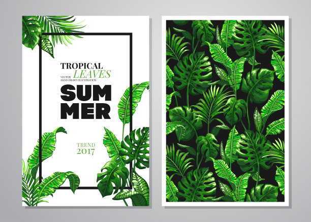 热带棕榈叶背景。图片下载