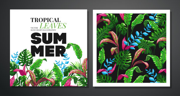 热带棕榈叶背景。图片下载