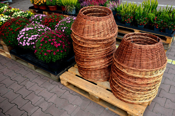 坐在路边的咖啡馆里。花盆里种着竹子。花盆是柳条的，方形的灰色混凝土铺装。现代餐厅前的陶土花盆图片下载