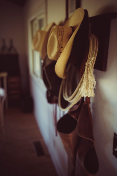 牛仔帽和套索图片下载