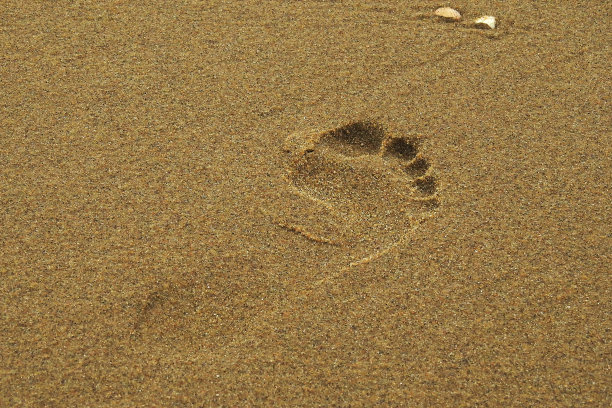沙滩上有个女人的脚印。图片下载