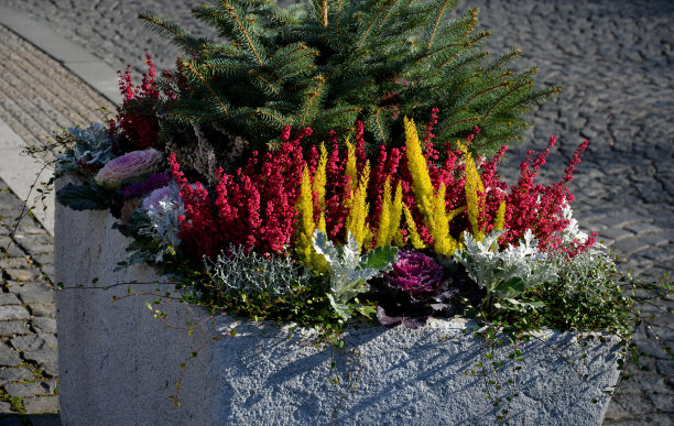 多年生花坛与一年生种植园的边缘停车场在铺在花岗岩鹅卵石城镇广场上，石柱对着入口和石槽和花盆种植图片下载