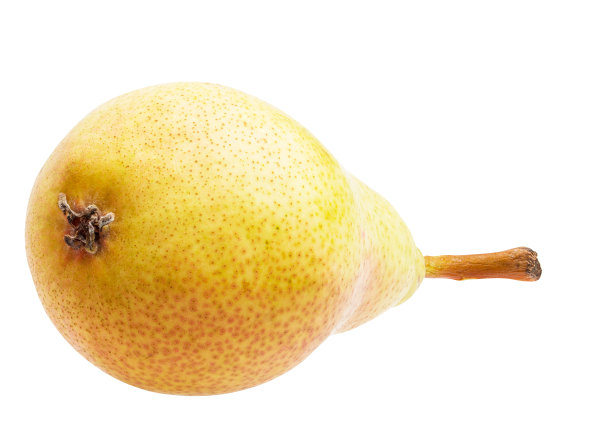 梨子会议孤立在白色的背景上图片下载