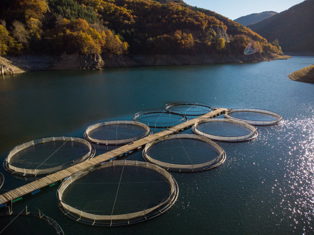 河中鳟鱼养殖场鸟瞰图图片下载