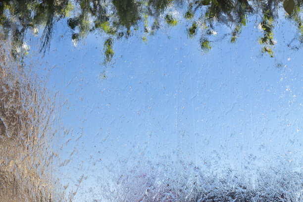 雨点落在玻璃上。蓝天绿叶枝头。天空背景图片下载