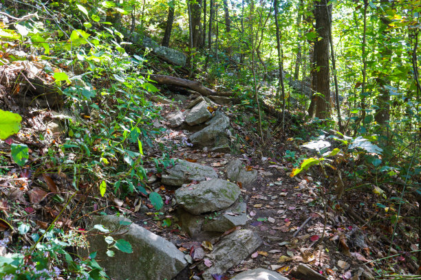 坎坷的向上之路图片下载