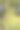 近距离拍摄的烟树花对树枝图片下载