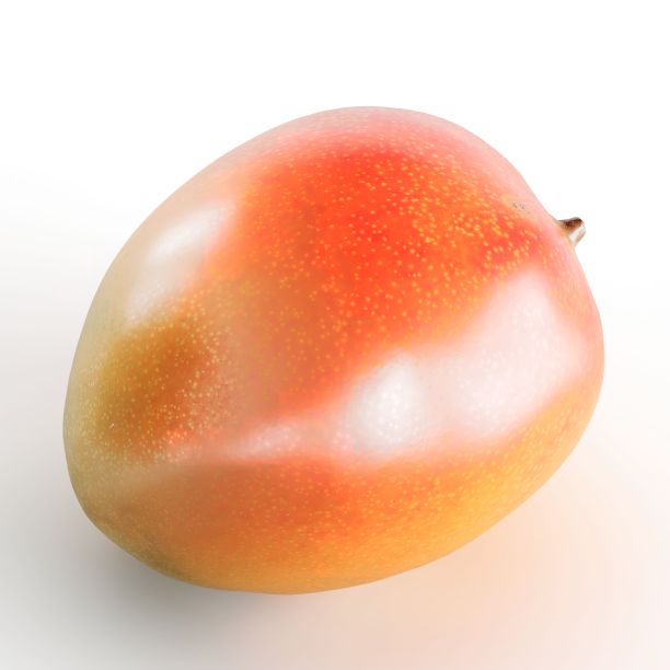 真实的3d渲染新鲜和成熟的芒果在白色背景图片下载