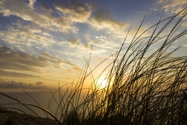 海滩的美丽照片，在夕阳的背景上有草图片下载