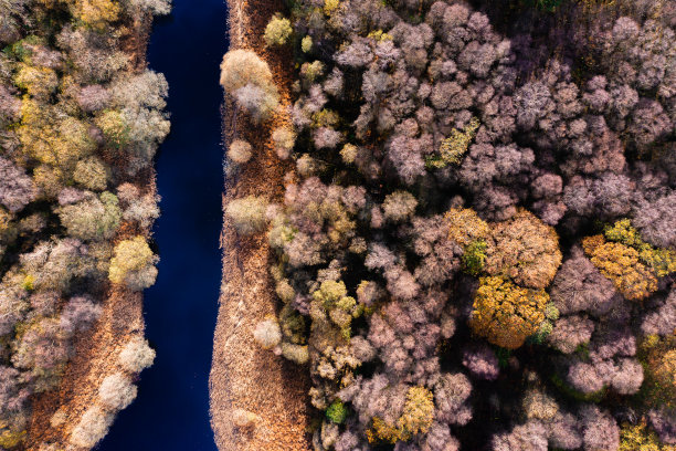 无人机俯瞰河流图片下载