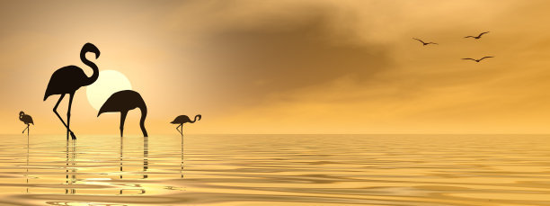 一群粉红色的火烈鸟- 3D渲染图片下载