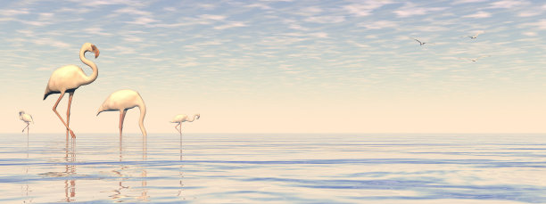 一群粉红色的火烈鸟- 3D渲染图片下载