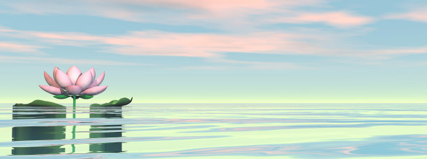 荷花日落- 3D渲染图片下载