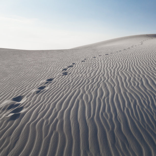 美国新墨西哥州白沙国家公园沙丘上的脚印图片下载