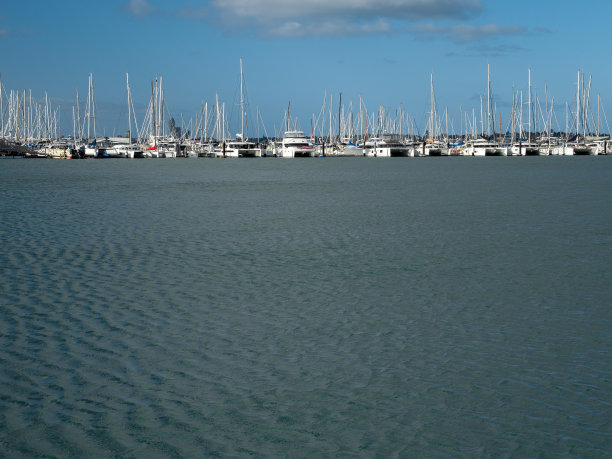 新西兰奥克兰的高架桥码头图片下载