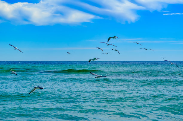 秋天漫步海滩图片下载