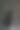小猫和小孩玩耍的特写照片图片下载