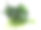 人工热带植物灌木孤立在白色背景。图片下载