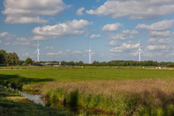 蓝天白云下现代风力涡轮机的荷兰农场景观图片下载