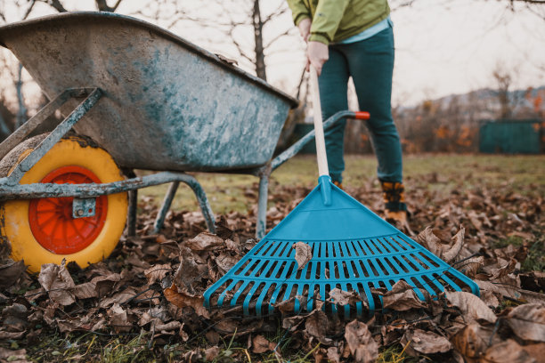为下个季节准备草坪图片下载