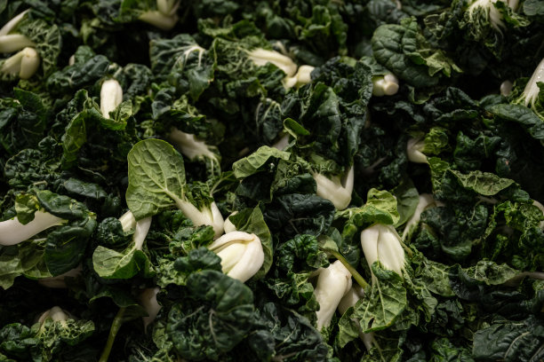 超市货架上各种蔬菜的特写图片下载