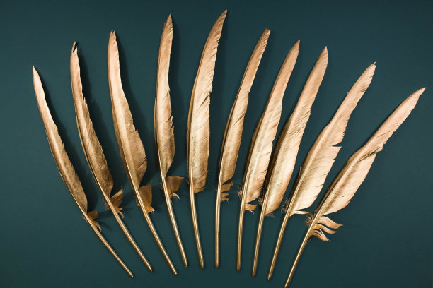 金色的羽毛。图案与金色羽毛在时髦的绿色祖母绿背景。从高处俯瞰。断然。图片下载