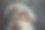 山羊头的特写镜头图片下载