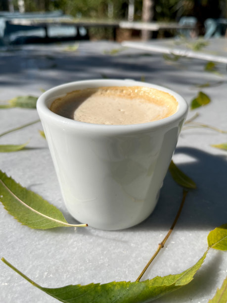 特写白色浓缩咖啡杯在大理石桌上与秋天的柳树叶图片下载