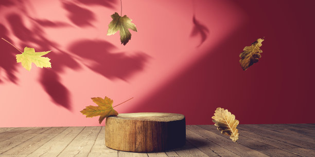 秋叶与圆木讲台- 3D图片下载