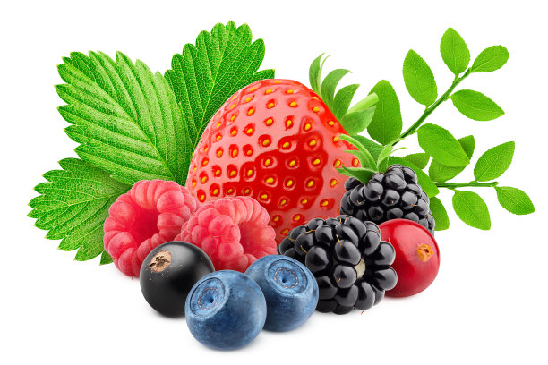 野生浆果混合，草莓，覆盆子，醋栗，蓝莓，蔓越莓，黑莓，孤立在白色背景，修剪路径，充分的景深图片下载