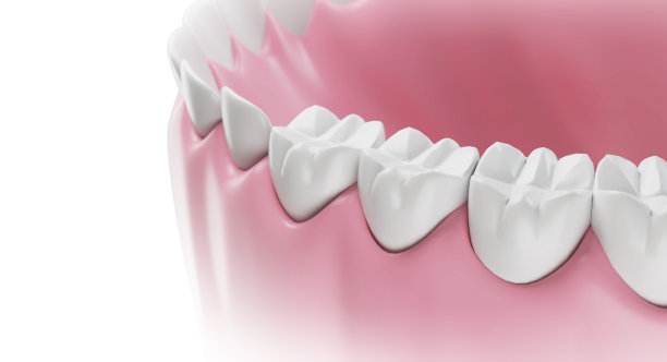 特写牙龈和牙齿隔离在白色背景3d插图。图片下载