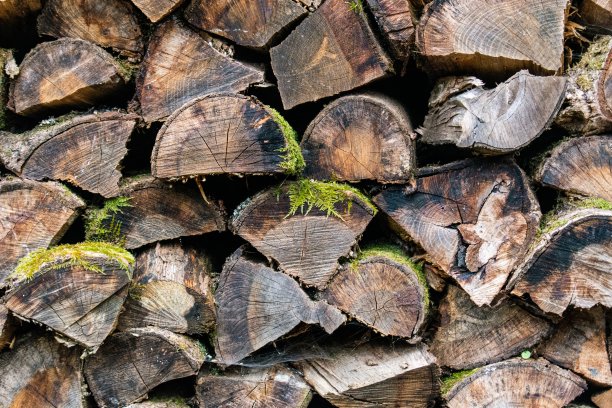 一堆木头的特写图片图片下载