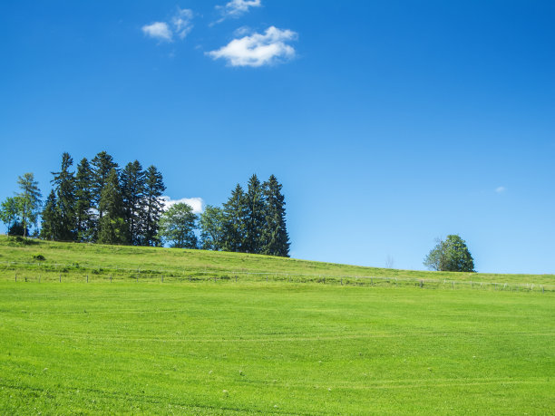 草地天空有云群树斜图片下载