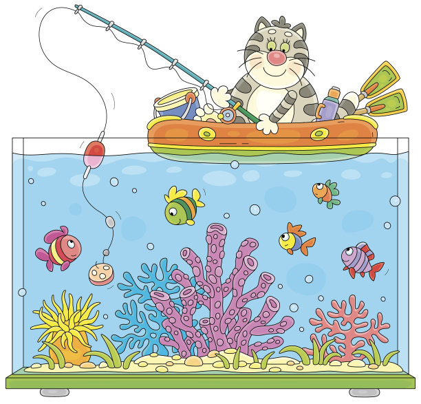 有趣的猫在充气船在水族馆钓鱼图片下载