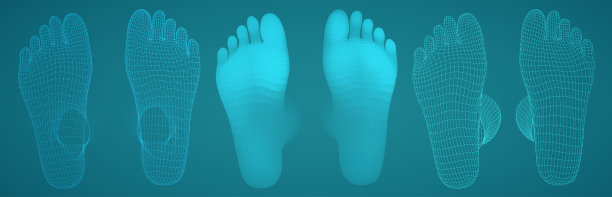 三维女性的脚。向量模板。图片下载