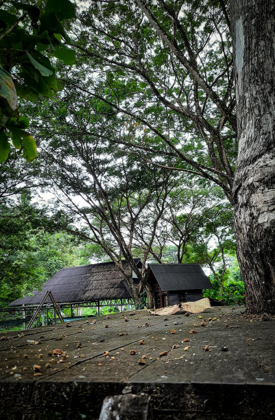 对外活动图片下载