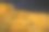 在满是星星的黑暗天空下，低角度拍摄建筑附近的木梯子图片下载