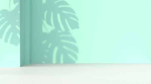 带有热带树叶阴影的建筑墙壁的逼真3D插图图片下载