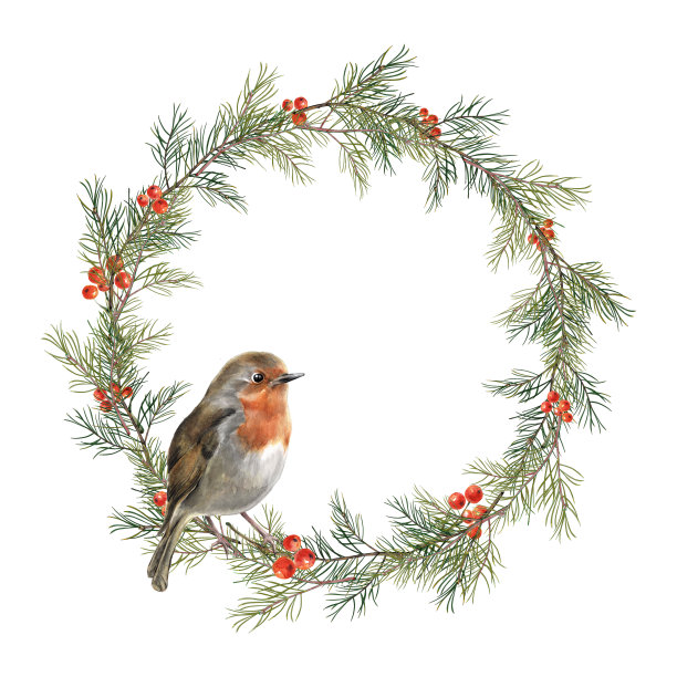 水彩圣诞花环的云杉树枝和图片下载