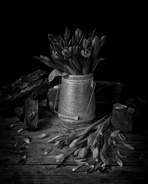 郁金香静物图片下载