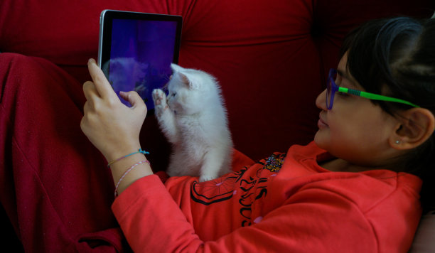 猫，小女孩和平板电脑图片下载