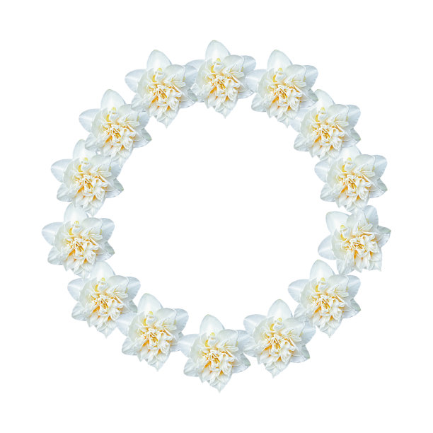 圆形的插花:圆形的插花白色的花朵孤立在白色的背景上。婚礼设计元素。节日的插花。明信片的设计。绿色树枝的边缘。帧的叶子。图片下载