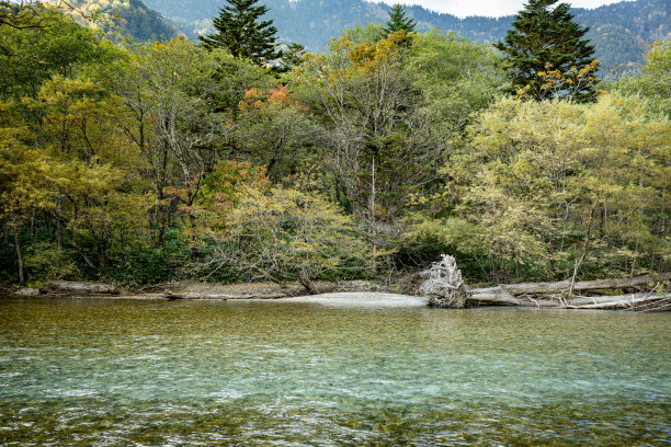 阿祖河穿过上高，流入松本盆地。这条河本身源自雅里山深处的一处泉水，雅里山可能是北阿尔卑斯山脉最著名的山峰。图片下载