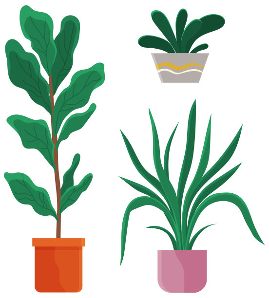装饰套绿色植物与长叶陶瓷花盆，花盆与室内植物。家庭室内植物图片下载