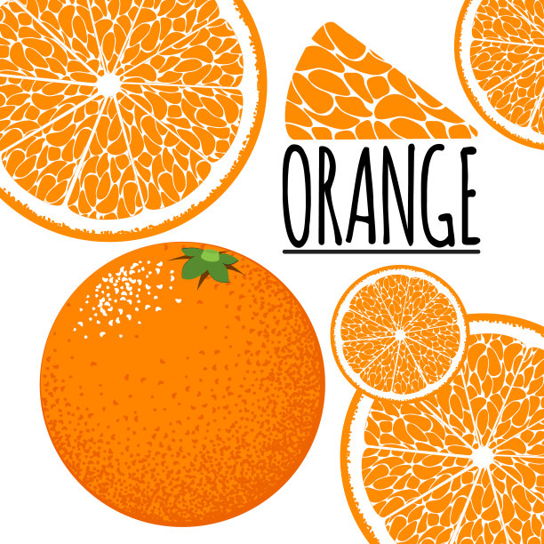 健康食品插画，天然橙子水果。图片下载