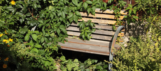 花园的长椅上图片下载